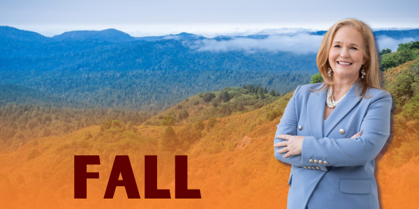 AD28 Assemblymember Gail Pellerin Fall Newsletter Hero Graphic