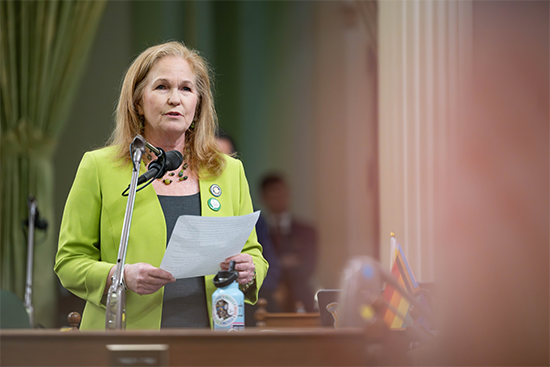 Assemblymember Pellerin speaking on the Assembly floor