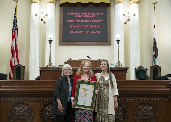 Non Profit of the Year