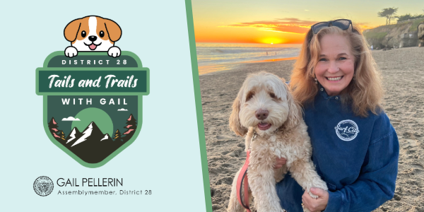 District 28 Tails and Trails with Gail