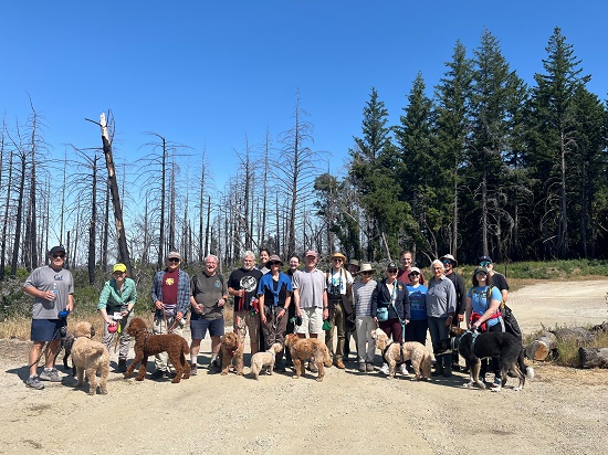 Tails & Trails