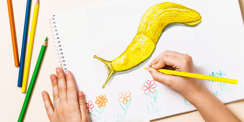 Banana Slug Art Contest Webform Page Graphic