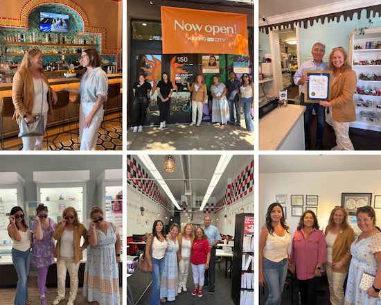 Taking Care of Business in Willow Glen