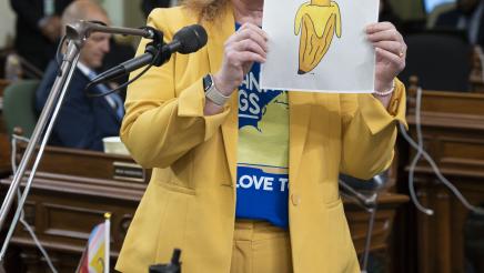 Assemblymember Gail Pellerin presents Banana Slug Art Contest Winners on Assembly Floor